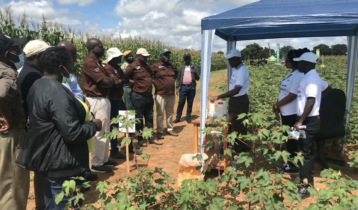 Group of farmers